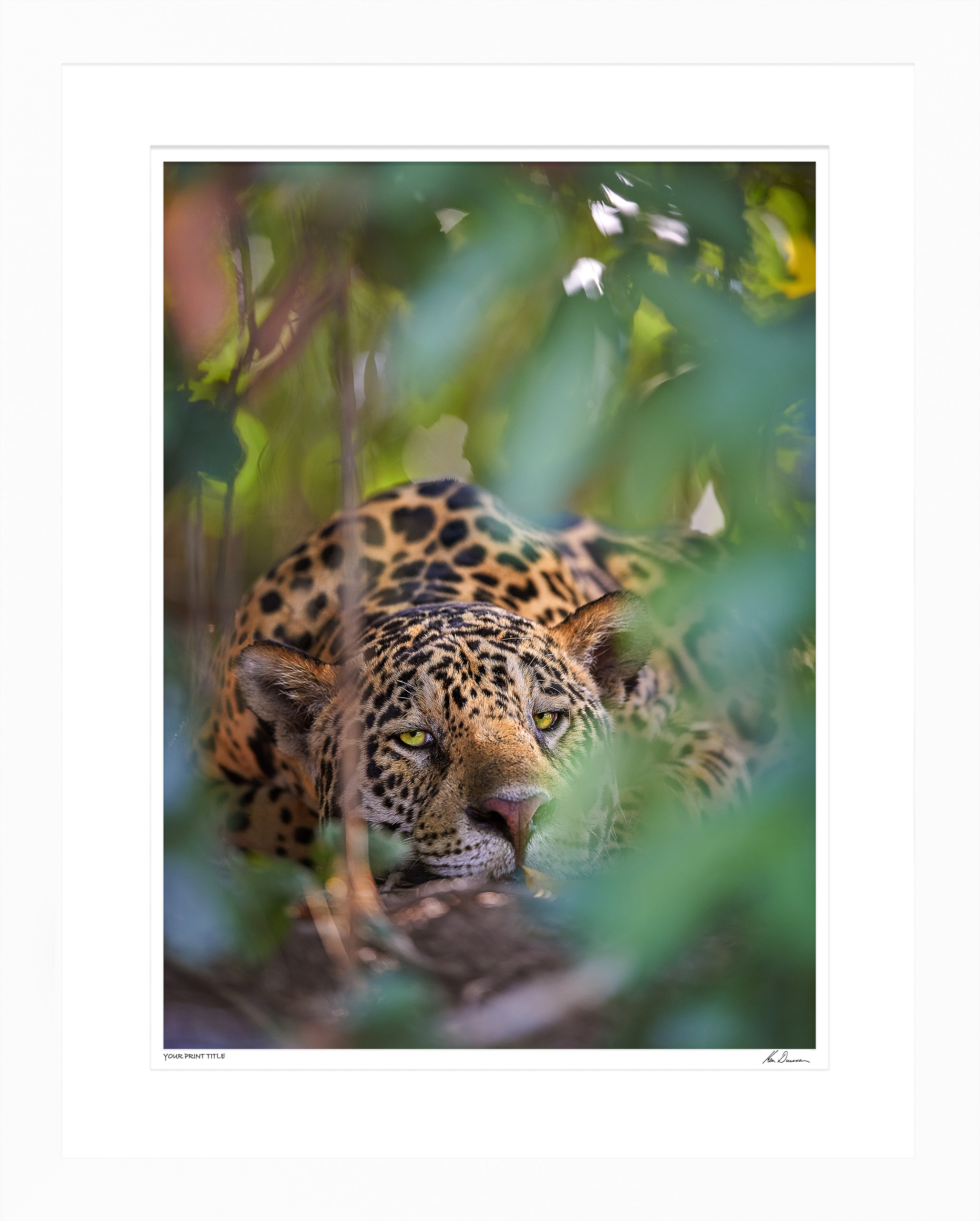 I See You! - Large Framed Wall Stock Sale (One Only)