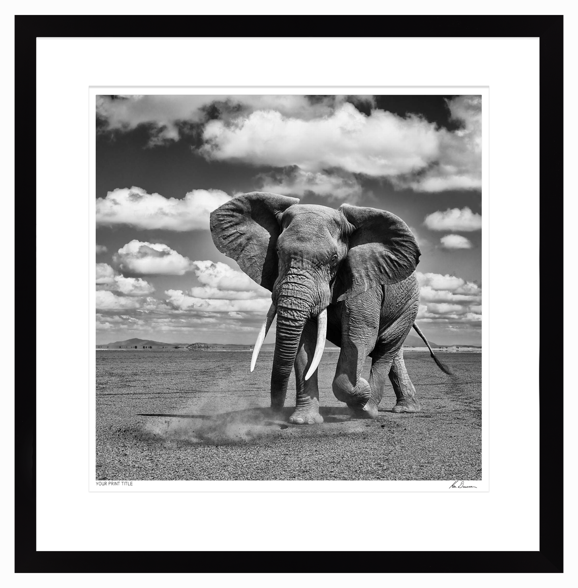Showdown - Large Framed Wall Stock Sale (One Only)