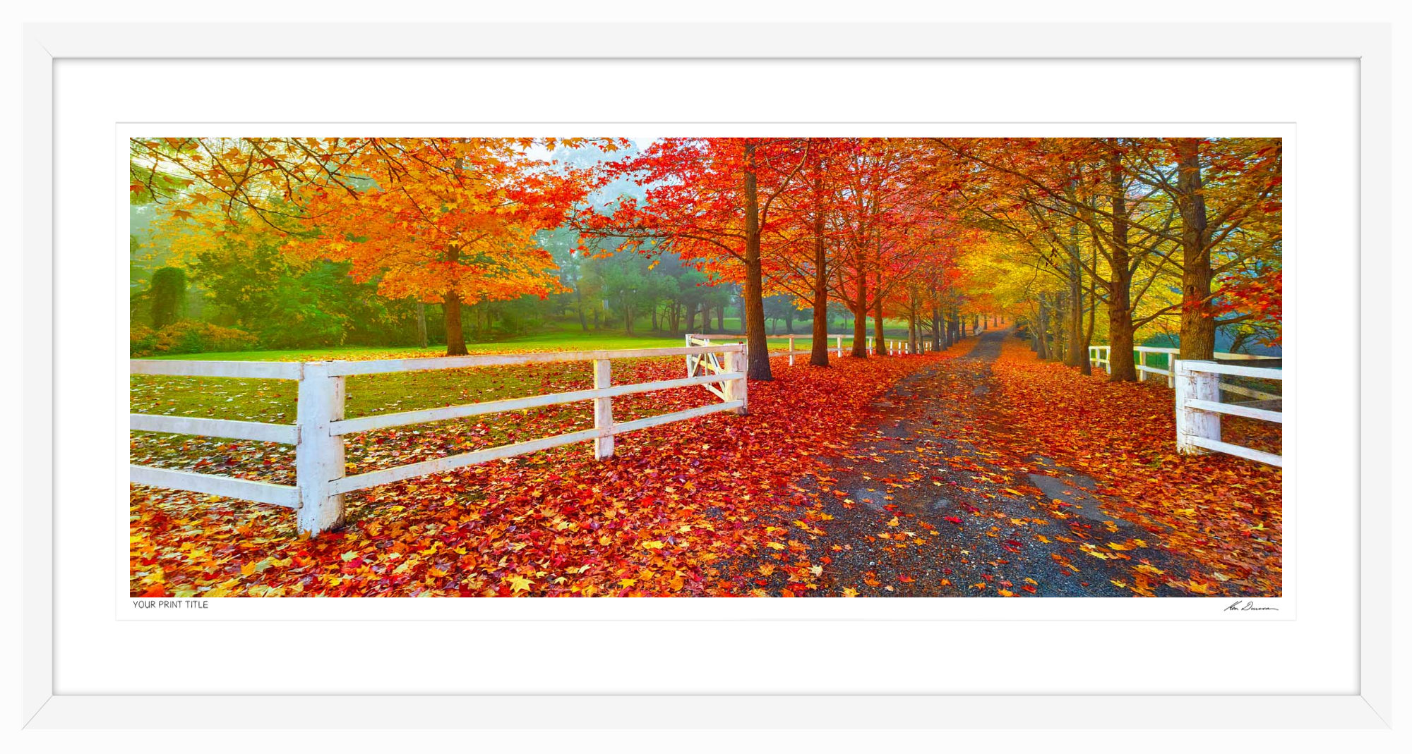 Beauty In Change - 50inch Framed Wall Stock Sale (One Only)