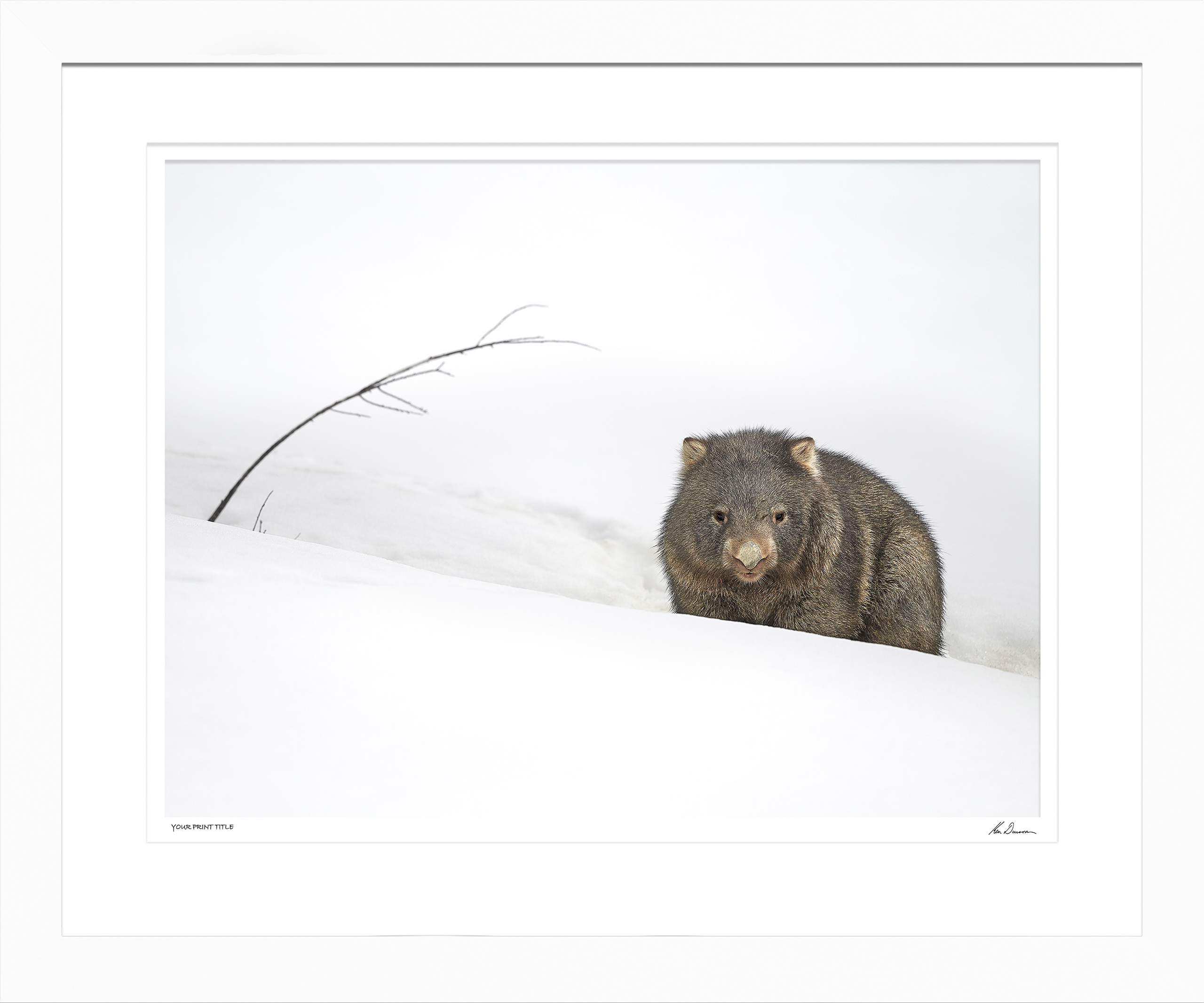 Matilda, Snowy Mountains, NSW - Large Framed Wall Stock Sale (One Only)