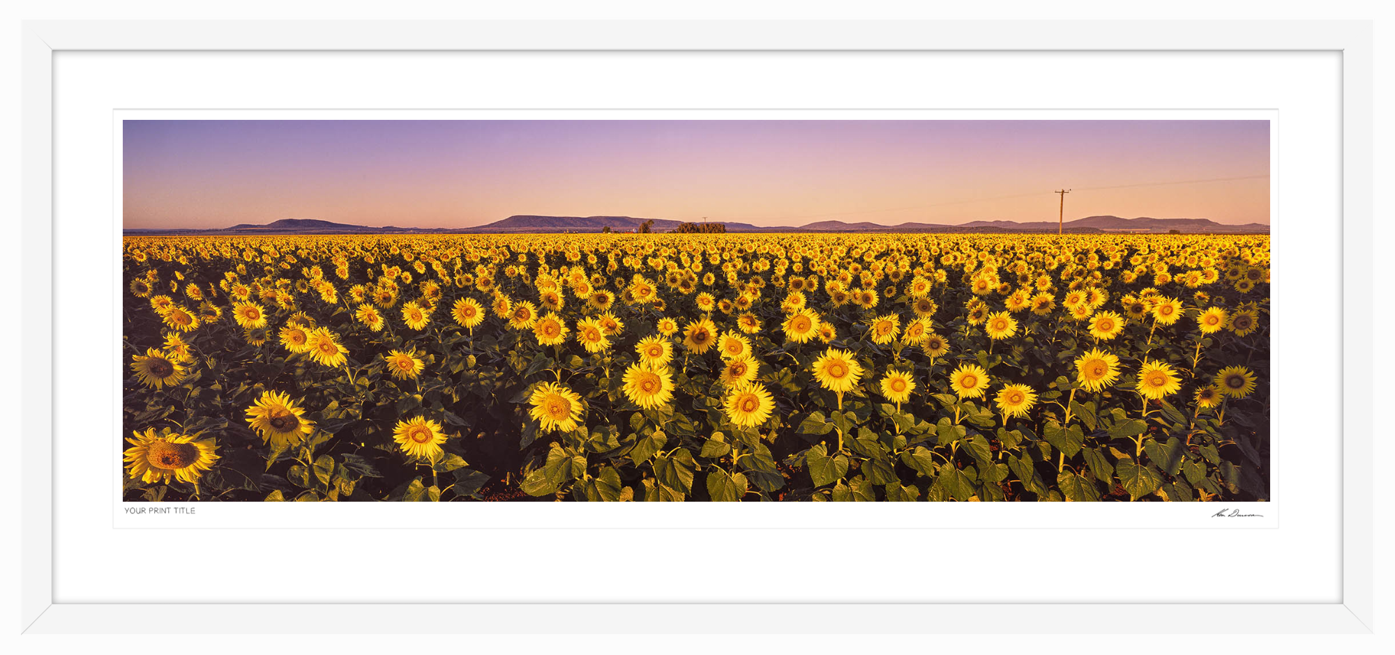 Golden Light - 60inch Framed Wall Stock Sale (One Only)