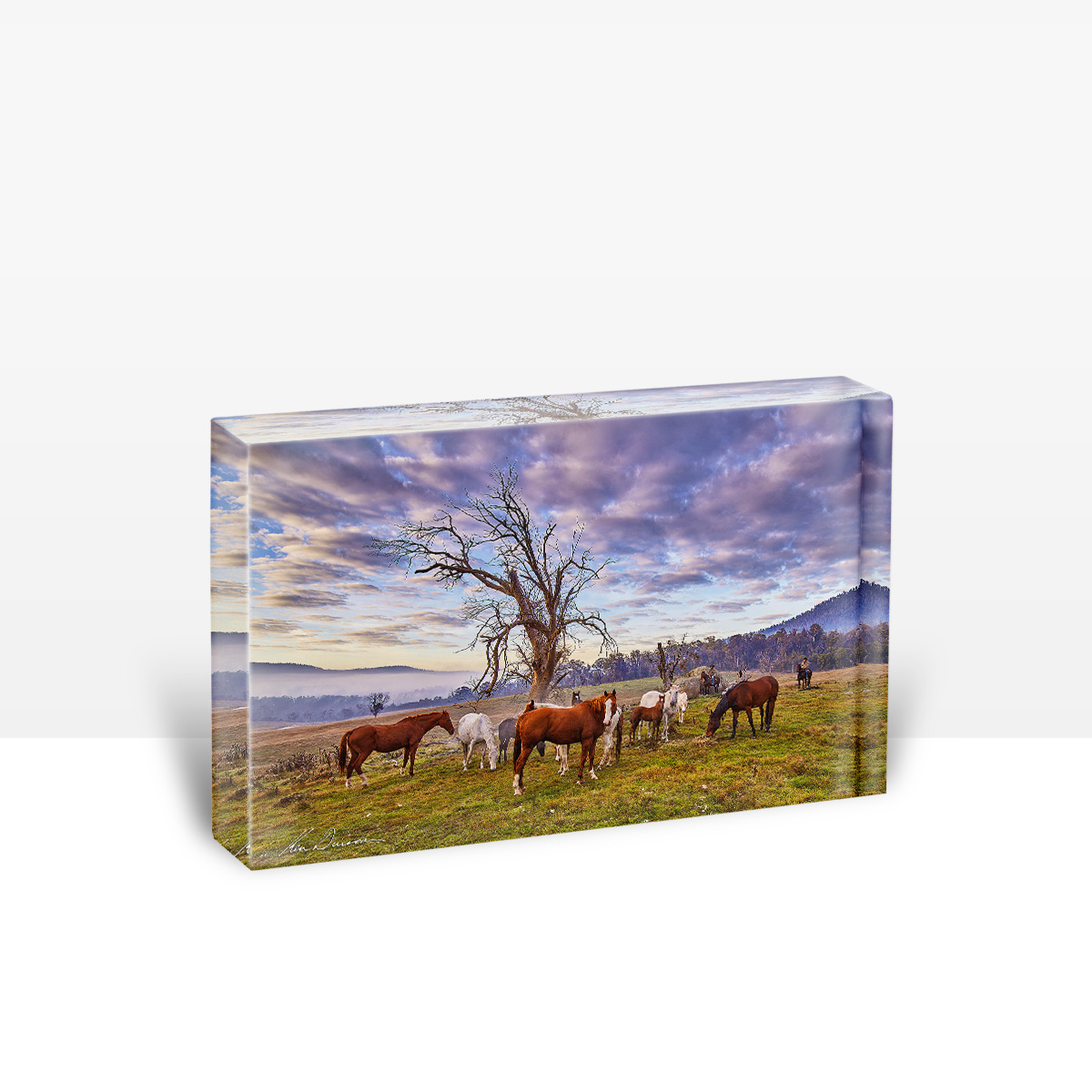 PB - High Country Muster (30 X 20)