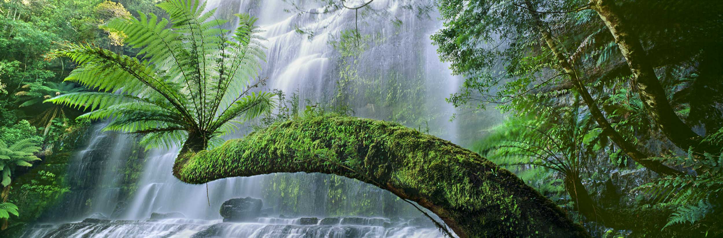 Reach for Life, Russell Falls, TAS