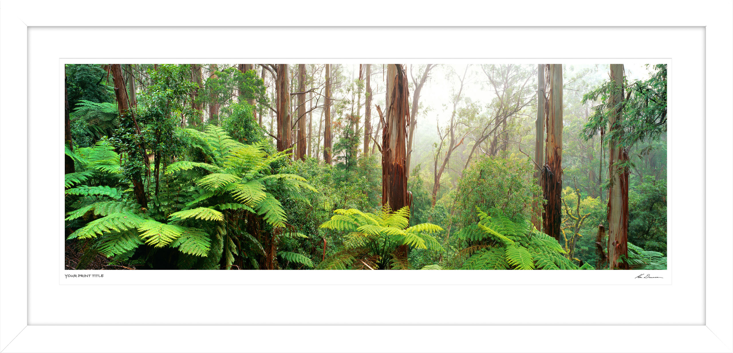 Misty Morning, Strzelecki Ranges. 40inch Framed Print registration number 78/100
