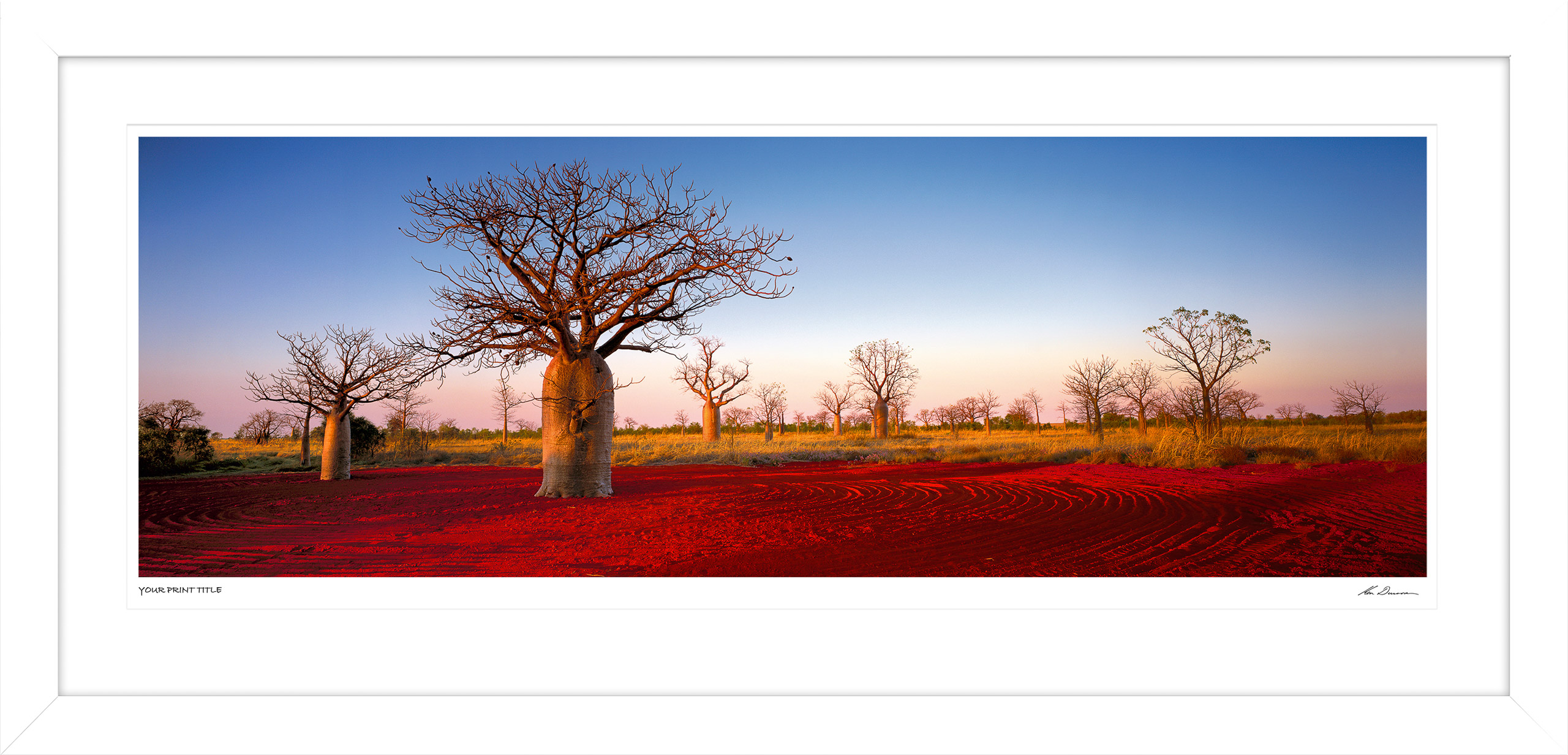 Kimberley Boabs - 60inch Framed Wall Stock Sale (One Only)