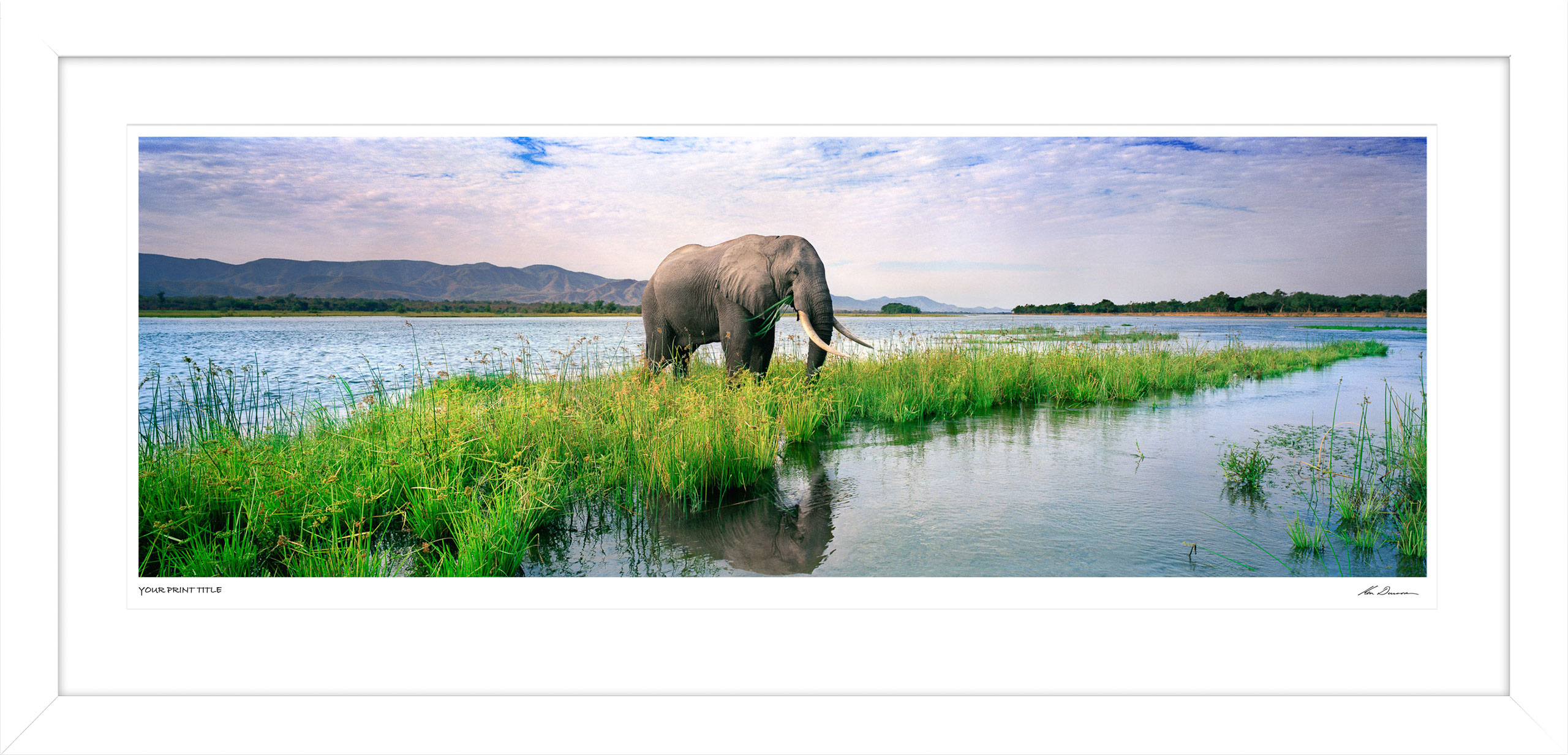 Rouge Warrior - 60inch Framed Wall Stock Sale (One Only)