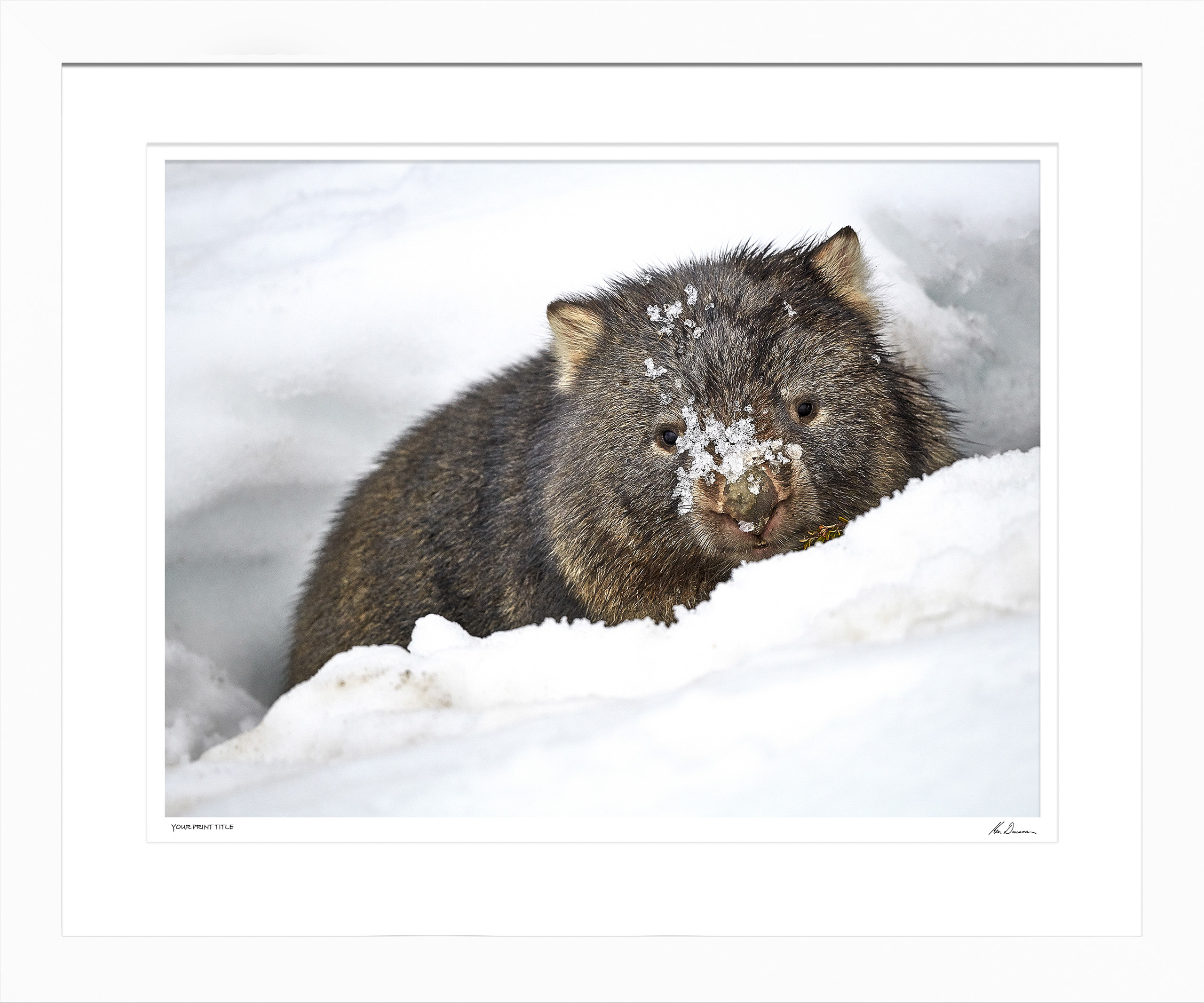 Peek-A-Boo - 30inch Framed Wall Stock Sale (One Only)
