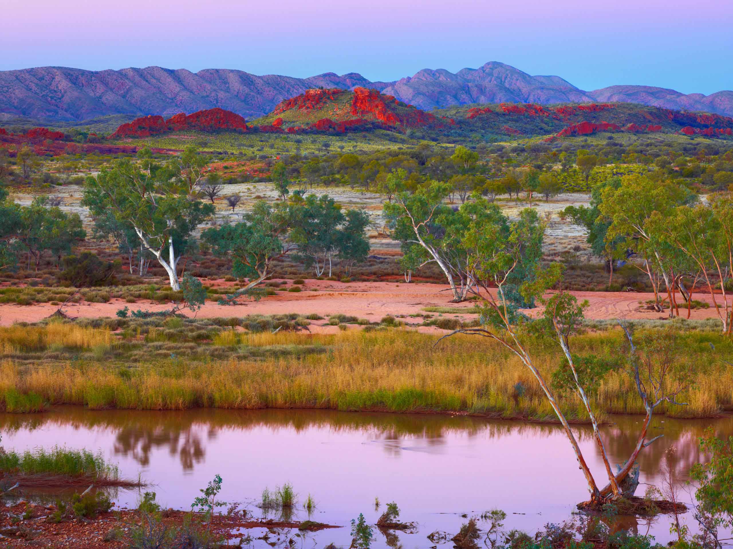 Outback Splendour, NT