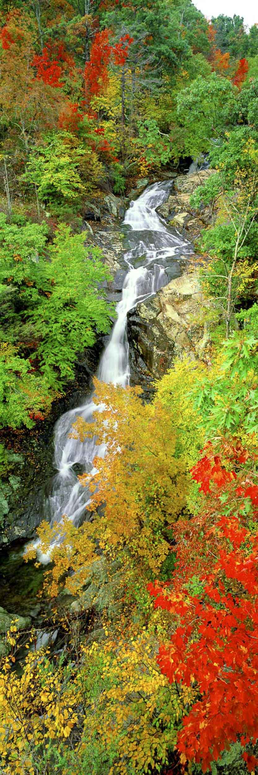 White Oak Falls, VA