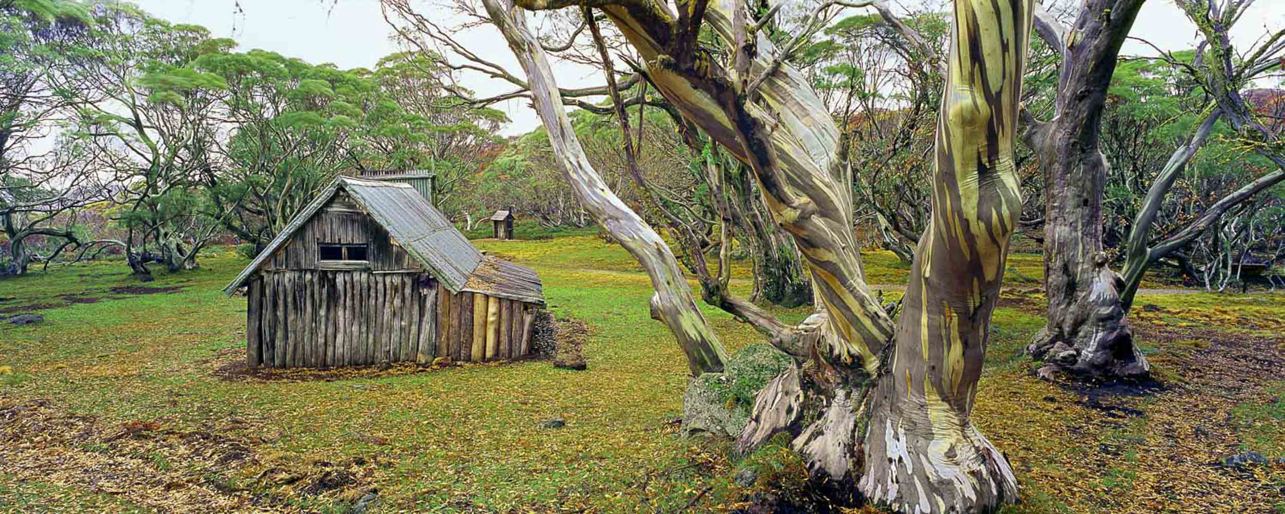 Wallace Hut, VIC