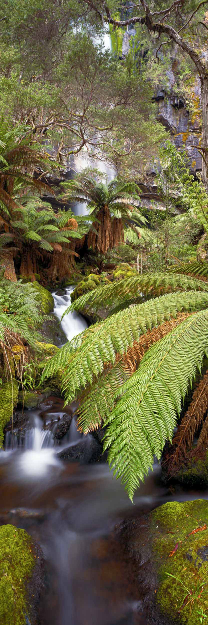 Bindaree Falls, VIC